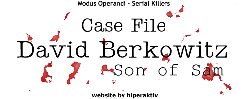 Case File - David Berkowitz